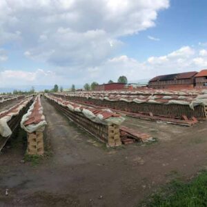 Ciglana Moša Guberevac (Leskovac)