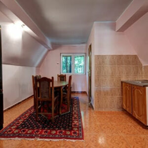 Na Prodaju Etno selo GARAŠKE BREZE – Arandjelovac