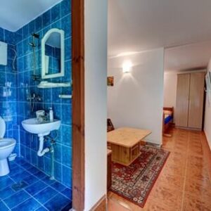 Na Prodaju Etno selo GARAŠKE BREZE – Arandjelovac