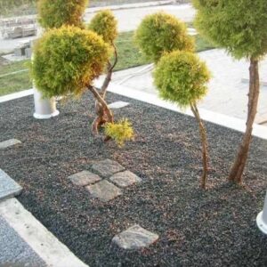 DARWIN GARDEN DESIGN Novi Sad