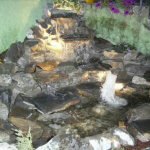 DARWIN GARDEN DESIGN Novi Sad