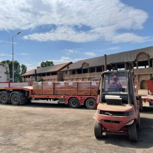 Ciglana Moša Guberevac (Leskovac)