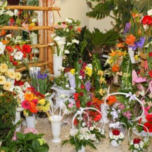 Cvećara IKEBANA Subotica