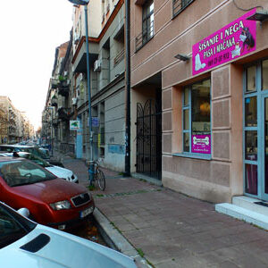 Salon za šišanje pasa i mačaka ShowGroom Beograd