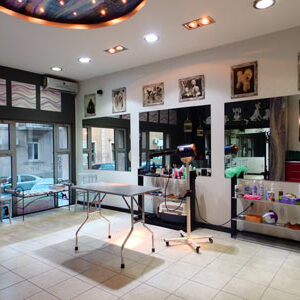 Salon za šišanje pasa i mačaka ShowGroom Beograd