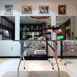 Salon za šišanje pasa i mačaka ShowGroom Beograd