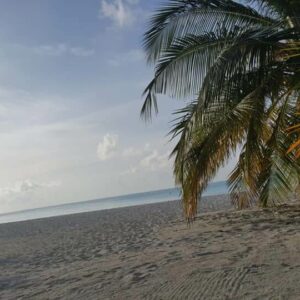 Turistička agencija USPEH Požarevac