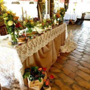 Salaš Mali Park Gladnoš Indjija