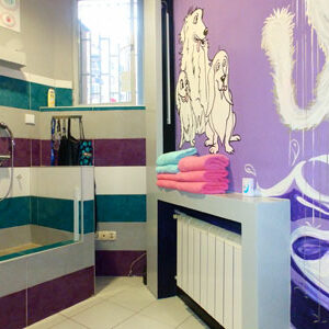 Salon za šišanje pasa i mačaka ShowGroom Beograd