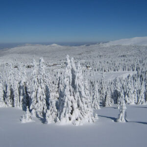 Turistička agencija USPEH Požarevac