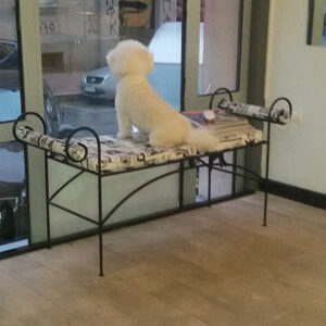 Salon za šišanje pasa i mačaka ShowGroom Beograd