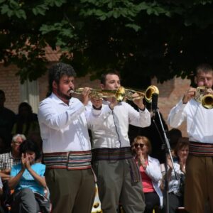 Trubački Orkestar Marka Gligorijevića Bajina Bašta