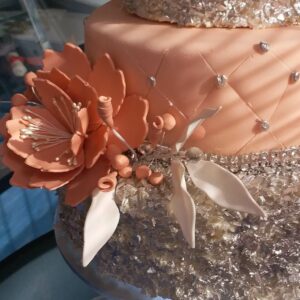 Torte i kolači Moja Slatka Tajna Niš