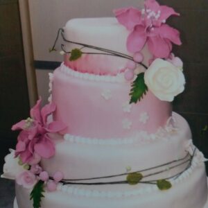 Torte i kolači Moja Slatka Tajna Niš