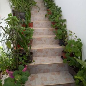 APARTMAN – SOBE MILOJKOVIĆ Ribarska Banja