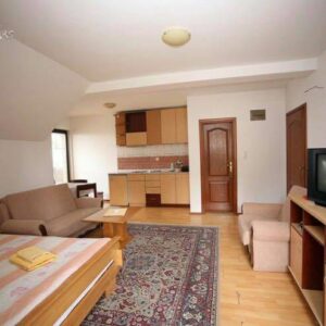 Vila Vidikovac Zlatibor