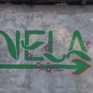 Apartman prenoćište smeštaj Nela Niš