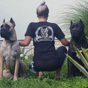 Prodaja štenaca Cane Corso CEZARIUS KENNEL Belegiš