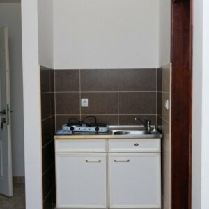 Privatni smeštaj Atomska banja VILA SUNCE Gornja Trepča