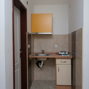 Privatni smeštaj Atomska banja VILA SUNCE Gornja Trepča