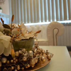 Plastična rekonstruktivna estetska hirurgija ELENORO CLINIC Beograd