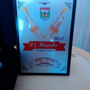 Trubački Orkestar za sva veselja Damira Ametovića