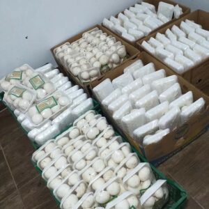 Proizvodnja i prodaja šampinjona STOJANOVIĆ Jagodina