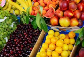 Otkup i prodaja voća i povrća AEROFRUTI DOO Sevojno
