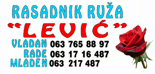 Cveće i rasadnici Lević Selište
