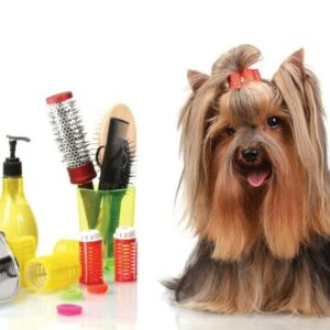 Salon za šišanje pasa i mačaka Anastazija Grooming Subotica