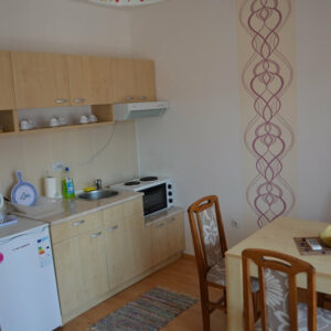 Apartmani Soko Banja VILA DINKA