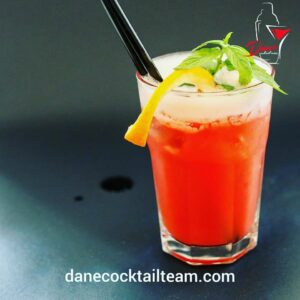 Dane Cocktail Team Subotica