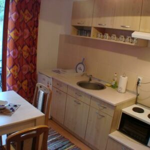 Apartmani Soko Banja VILA DINKA