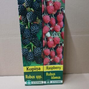 Rasadnik STERMIL Mala Drenova Trstenik