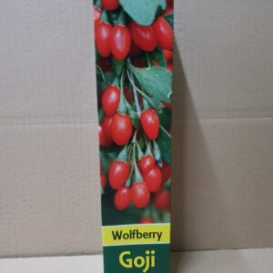 Rasadnik STERMIL Mala Drenova Trstenik