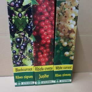 Rasadnik STERMIL Mala Drenova Trstenik