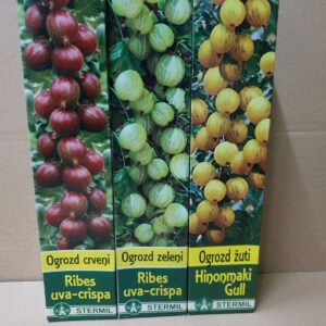 Rasadnik STERMIL Mala Drenova Trstenik