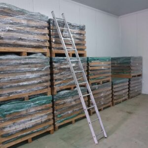 Rasadnik STERMIL Mala Drenova Trstenik