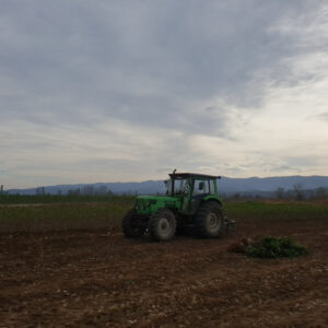 Rasadnik STERMIL Mala Drenova Trstenik
