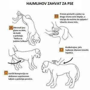 Veterinarska ambulanta Petrović 019 Negotin