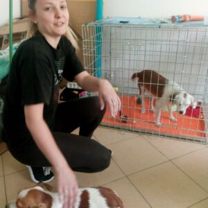 Veterinarska ambulanta Petrović 019 Negotin
