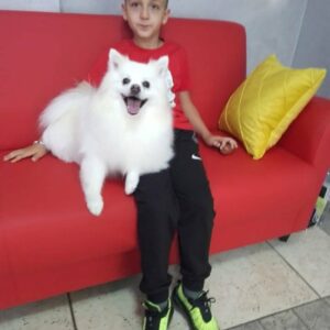 Salon za šišanje pasa i mačaka GROOMING CENTRE BEST IN SHOW Pančevo