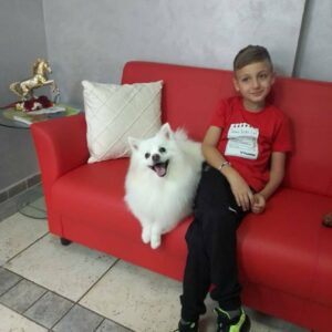 Salon za šišanje pasa i mačaka GROOMING CENTRE BEST IN SHOW Pančevo