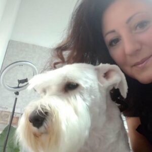Salon za šišanje pasa i mačaka GROOMING CENTRE BEST IN SHOW Pančevo
