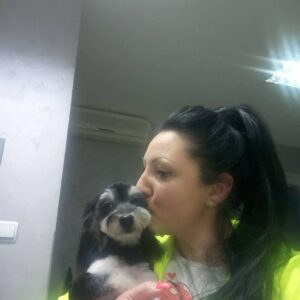 Salon za šišanje pasa i mačaka GROOMING CENTRE BEST IN SHOW Pančevo