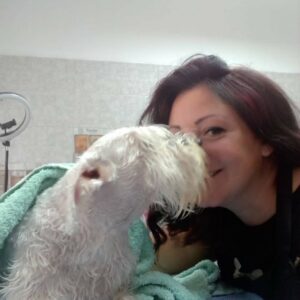 Salon za šišanje pasa i mačaka GROOMING CENTRE BEST IN SHOW Pančevo