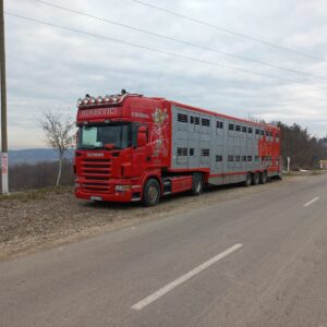 Transport živih životinja u domaćem i međunarodnom saobraćaju Topola ĐORĐEVIĆ
