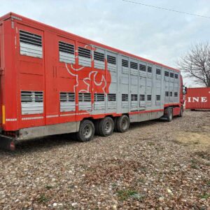 Transport živih životinja u domaćem i međunarodnom saobraćaju Topola ĐORĐEVIĆ