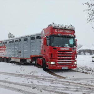 Transport živih životinja u domaćem i međunarodnom saobraćaju Topola ĐORĐEVIĆ
