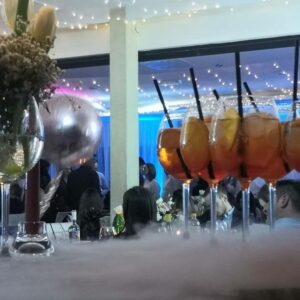 Restoran i prenoćište SUNČANO JEZERO Mladenovac